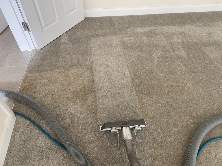 Carpet Cleaning Service 